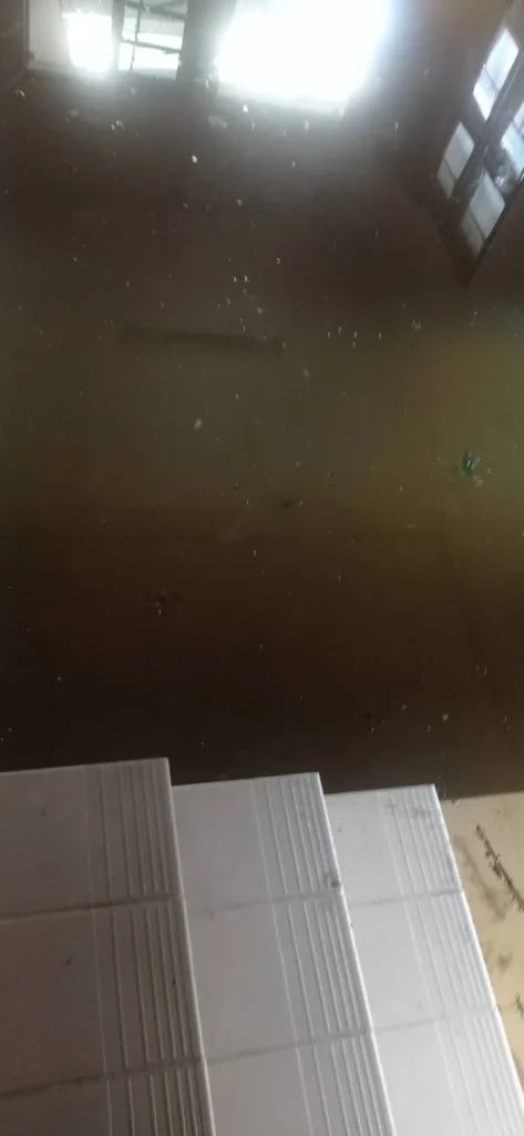 1ae67914 Bee3 4d39 98d4 5d2627364534.webp