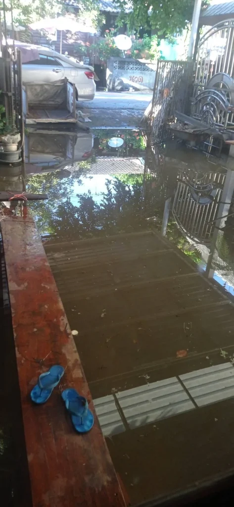 1df950b7 1d75 453d 8ca2 F453d10531a7.webp