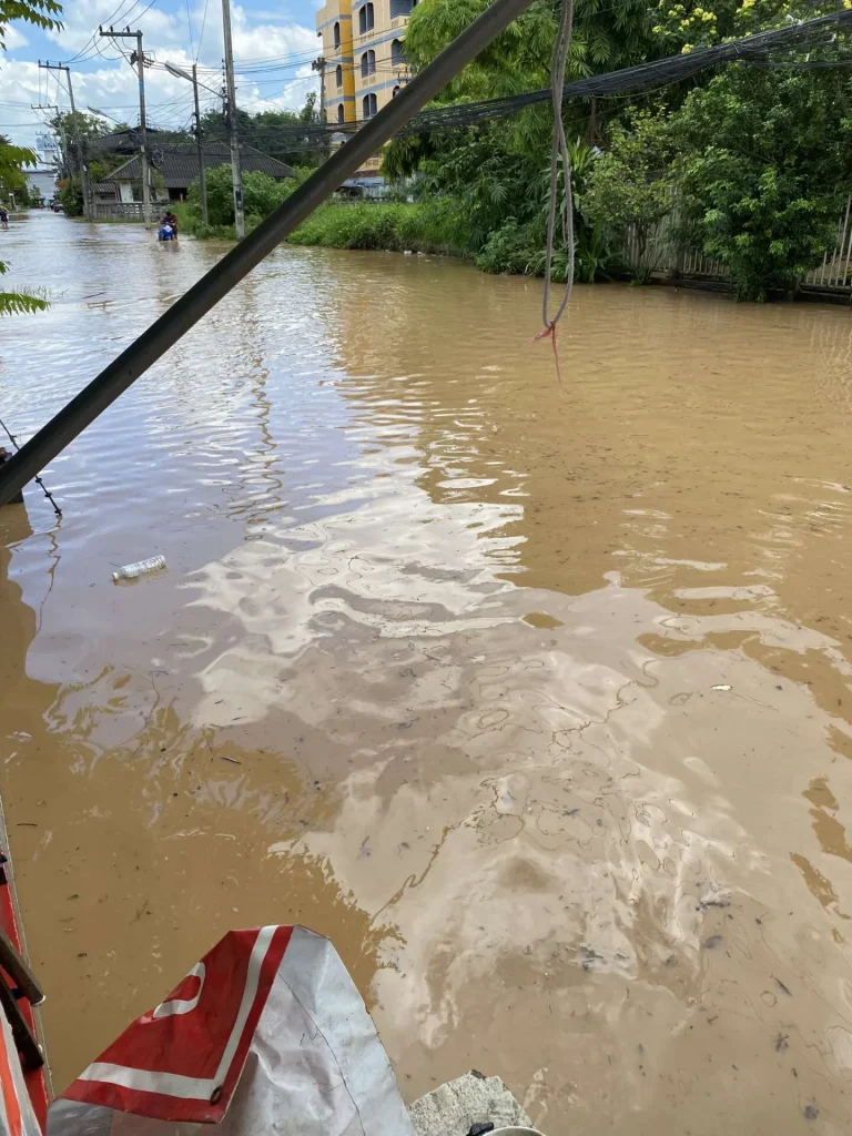 462546382 1064191414856799 4627861651150853402 N.webp