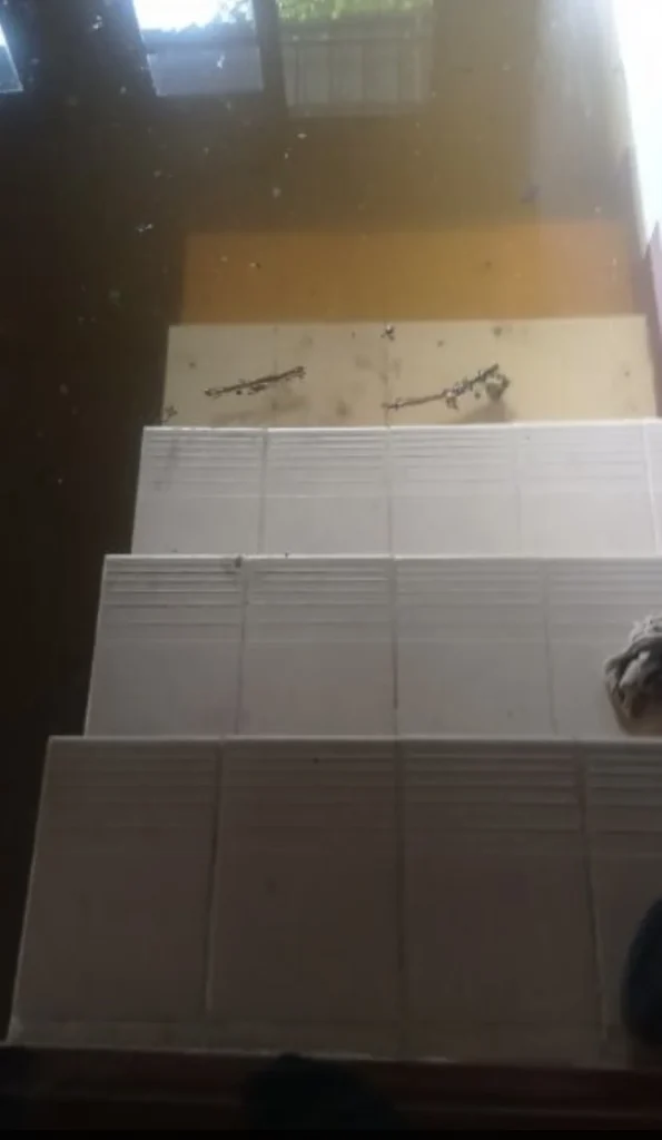 9fd6fe7b 8b92 4b9f 9471 44fa44e5b937.webp