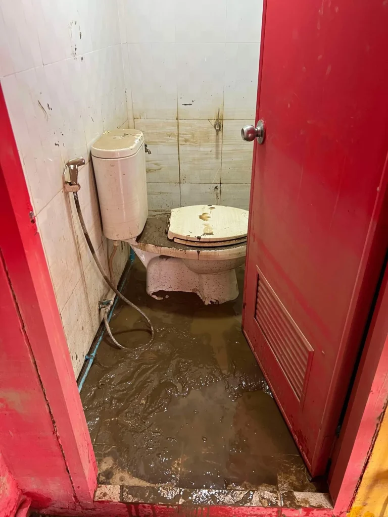 E58ae7ea D7d8 46a0 9c29 29854e70665e.webp