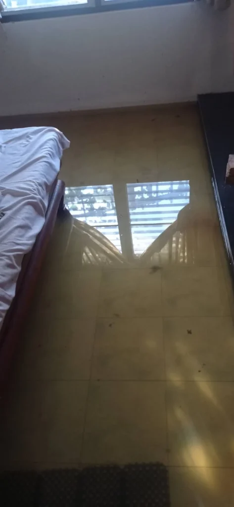 E7a6d055 E400 4f36 8044 98e0eaaa7ff8.webp