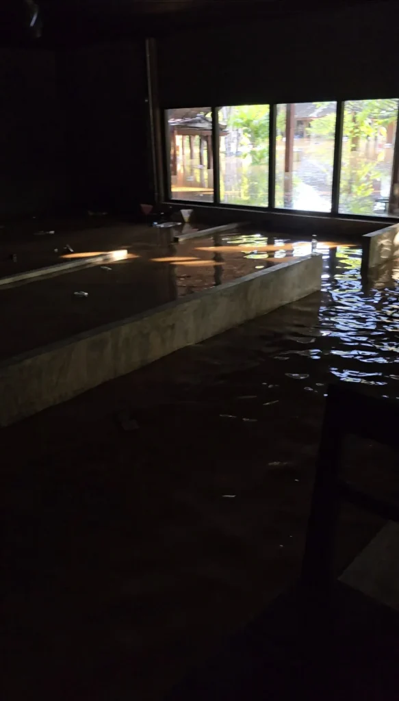 Screenshot 20241022 175047 Gallery.webp