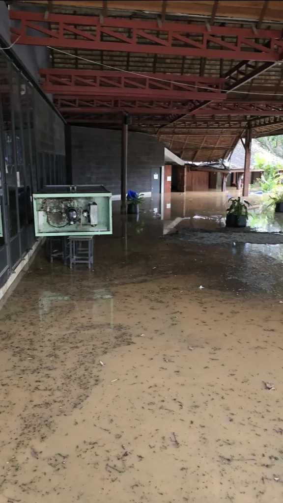 Screenshot 20241022 175101 Gallery.webp