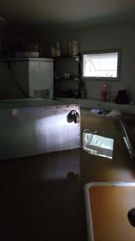 Screenshot 20241022 175208 Gallery.webp