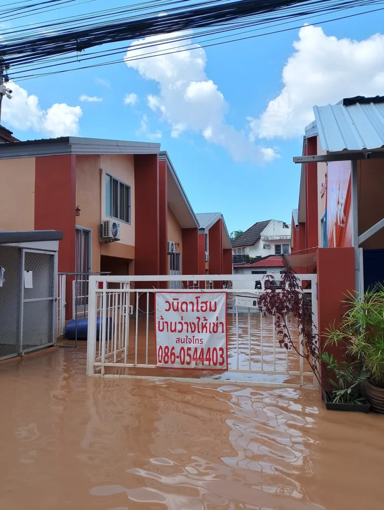 Img 20241006 140654 2.webp